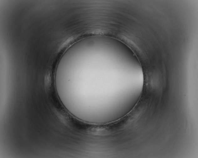 X0000088170208200705221628