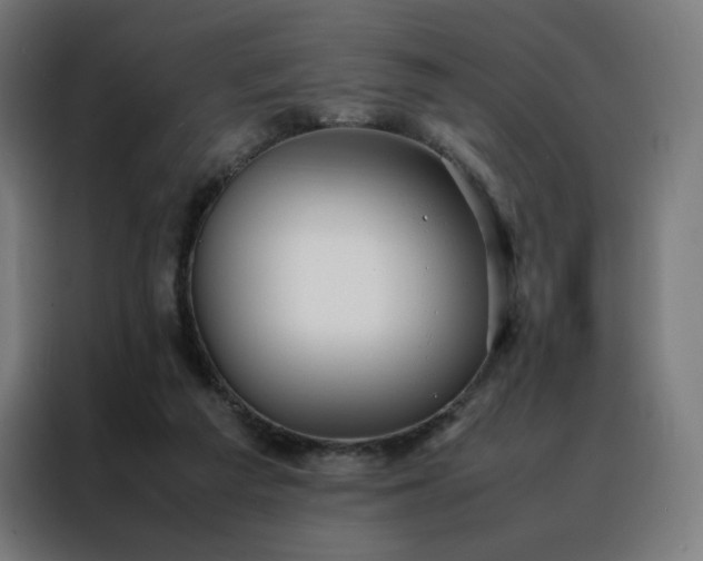 X0000088170209200705221628