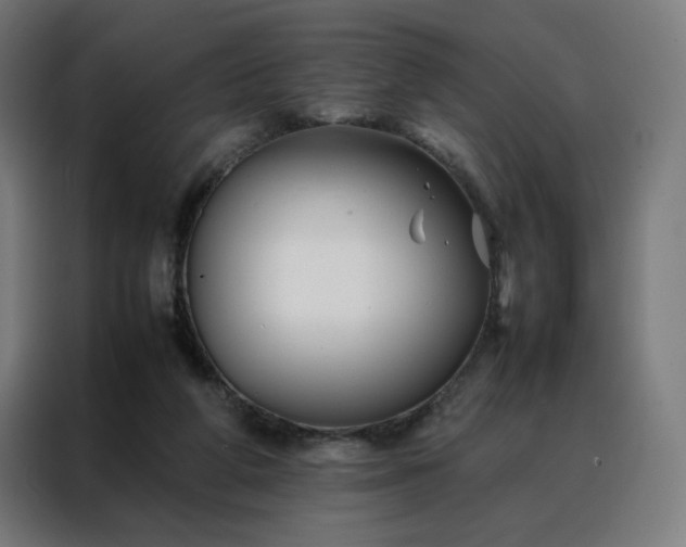 X0000088170210200705221628