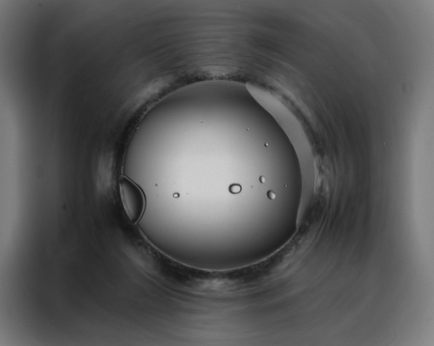 X0000088170212200705221628