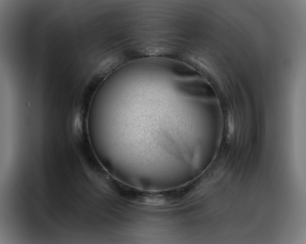 X0000088170214200705221628