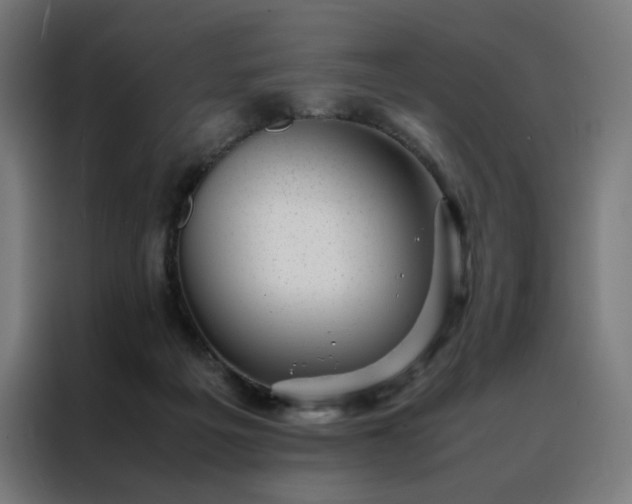 X0000088170217200705221628