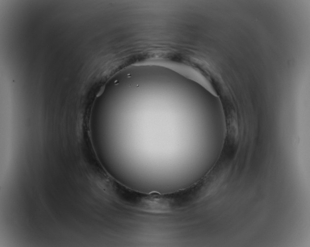 X0000088170221200705221628