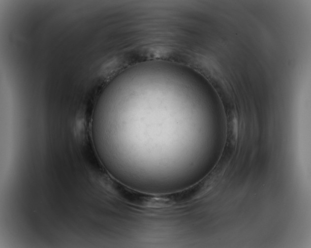 X0000088170222200705221628