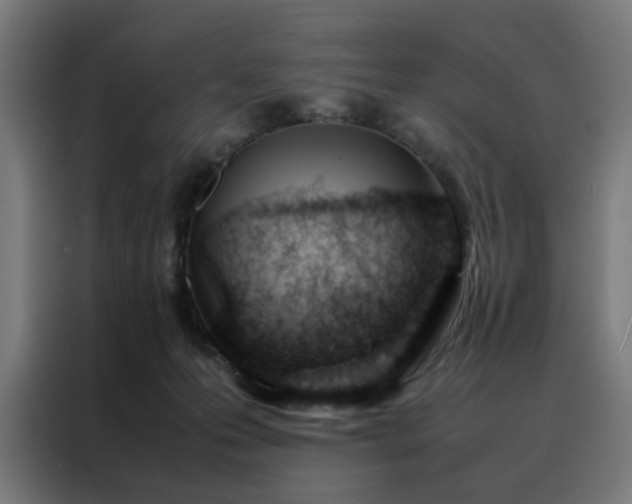 X0000088170223200705221628