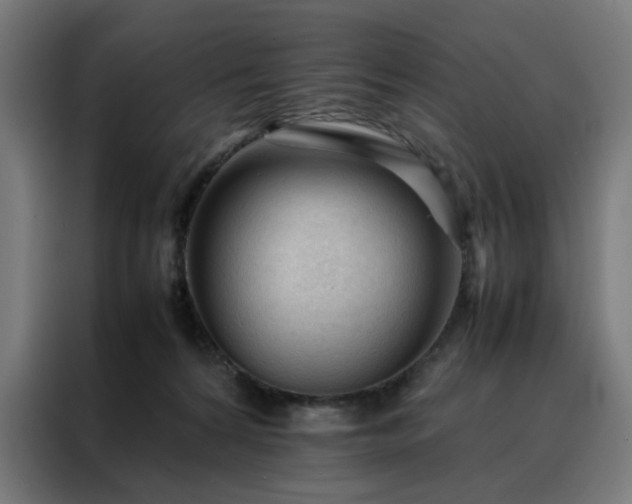 X0000088170224200705221628