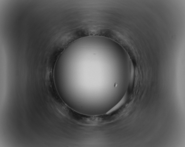 X0000088170225200705221628