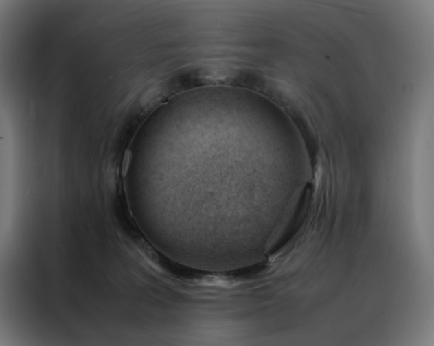 X0000088170227200705221628