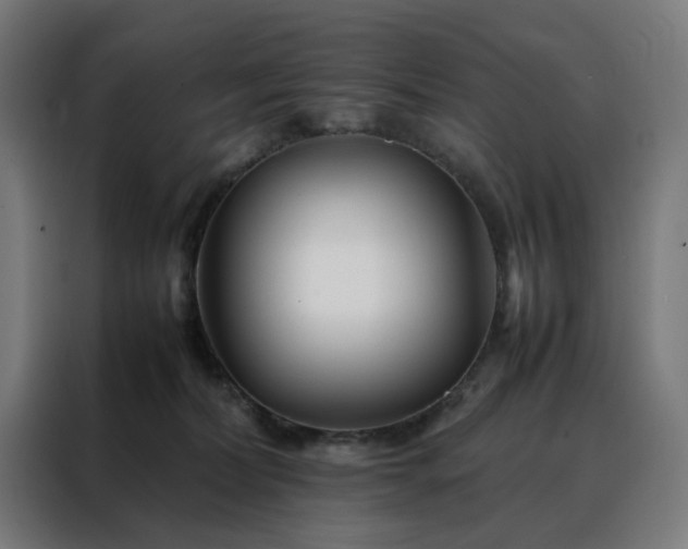 X0000088170228200705221628