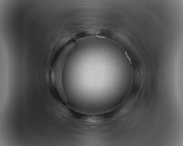 X0000088170229200705221628