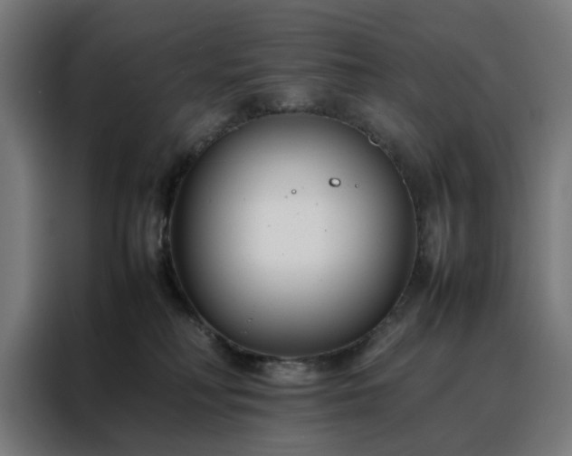 X0000088170230200705221628