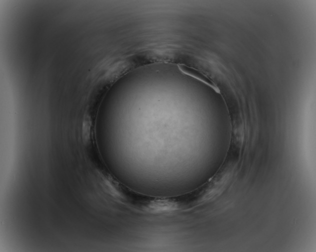 X0000088170231200705221628