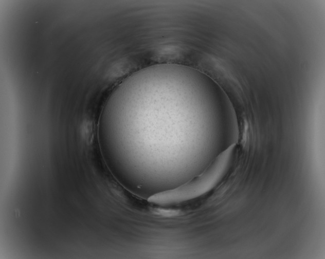 X0000088170232200705221628