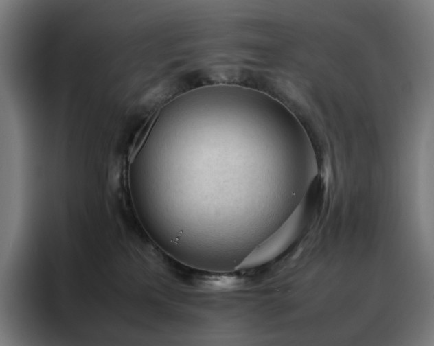 X0000088170233200705221628