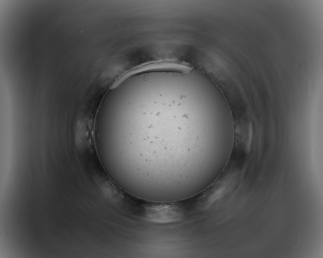 X0000088170237200705221628