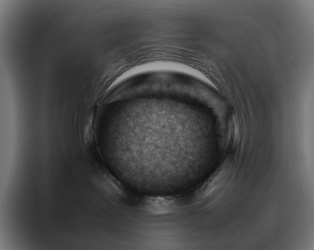 X0000088170239200705221628