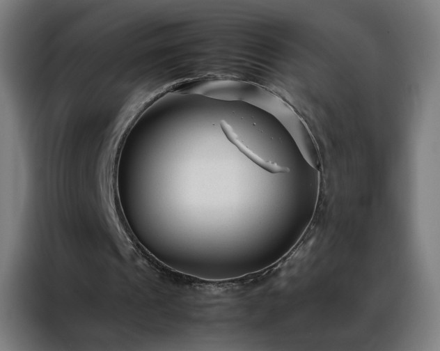 X0000088170241200705221627