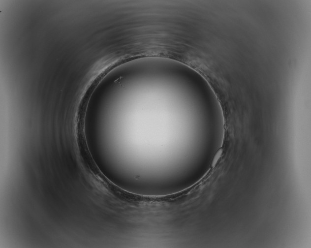 X0000088170242200705221627