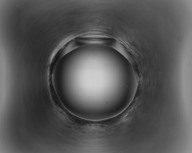 X0000088170244200705221627