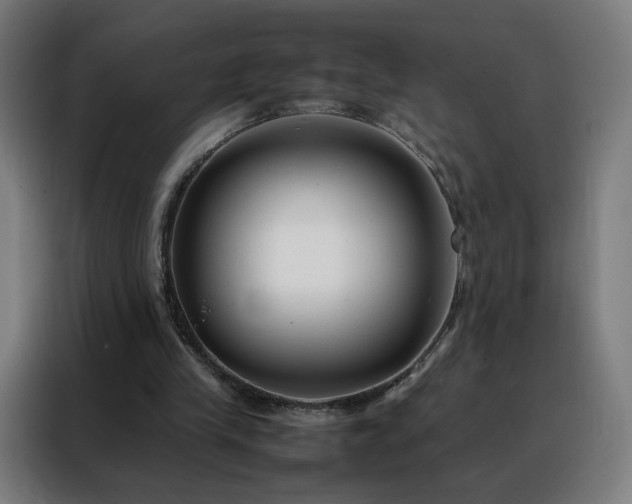 X0000088170245200705221627