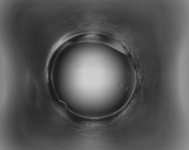 X0000088170246200705221627