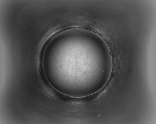 X0000088170247200705221627