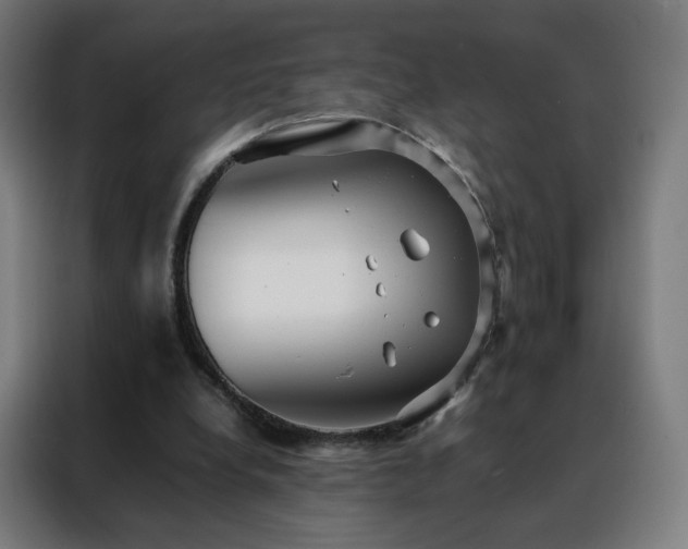 X0000088170248200705221627