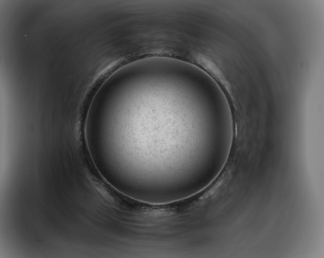 X0000088170249200705221627