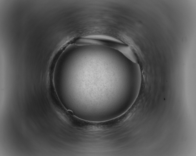 X0000088170250200705221627