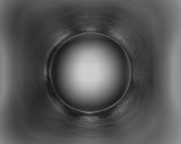 X0000088170251200705221627