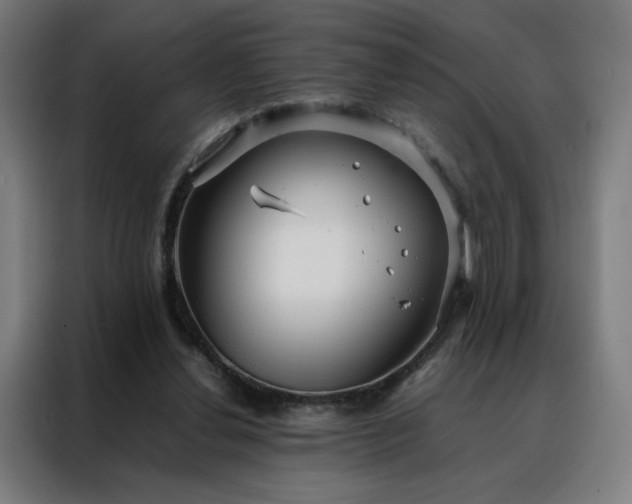 X0000088170252200705221627