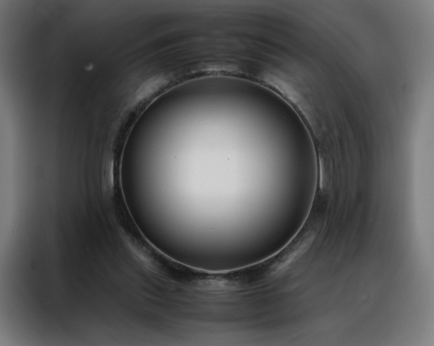 X0000088170253200705221627