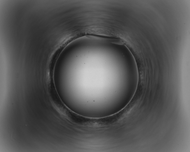 X0000088170254200705221627