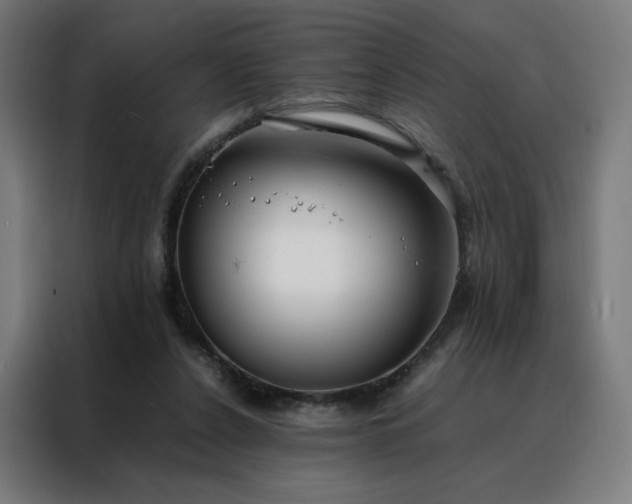 X0000088170256200705221627