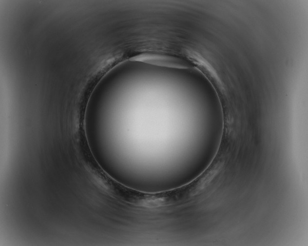 X0000088170257200705221628