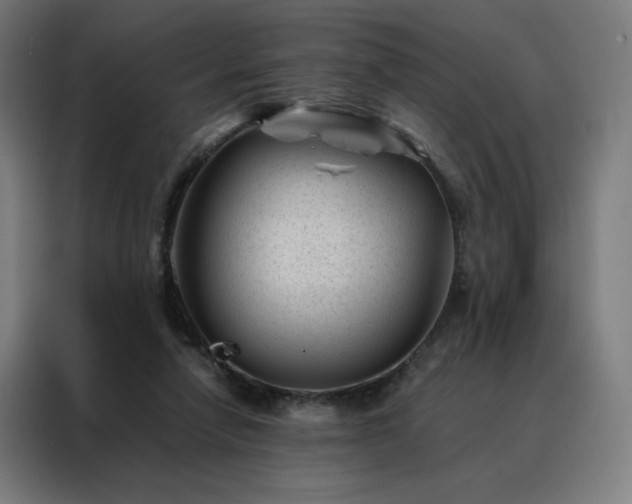 X0000088170258200705221628