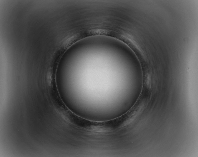 X0000088170259200705221628