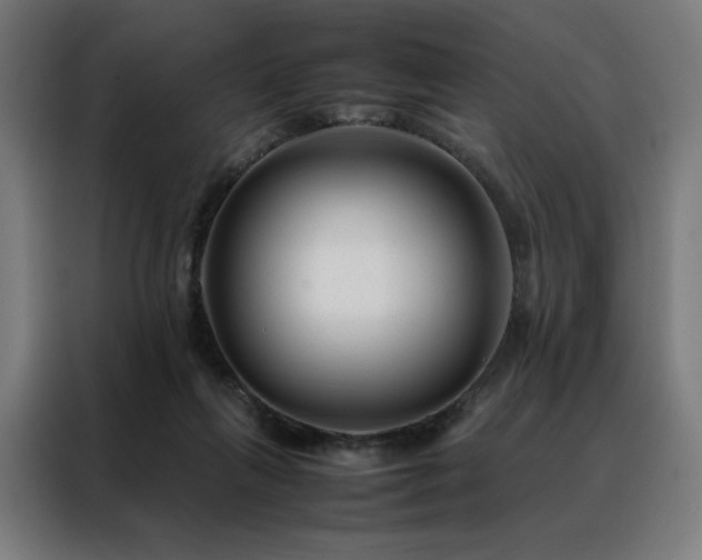 X0000088170263200705221628