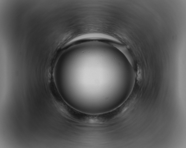 X0000088170264200705221628