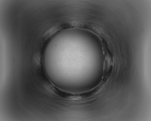 X0000088170266200705221628