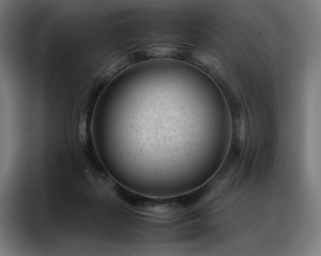 X0000088170267200705221628