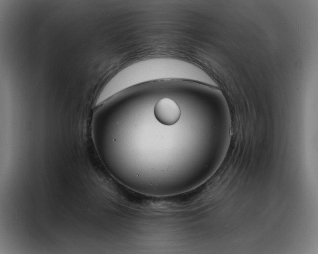 X0000088170268200705221628