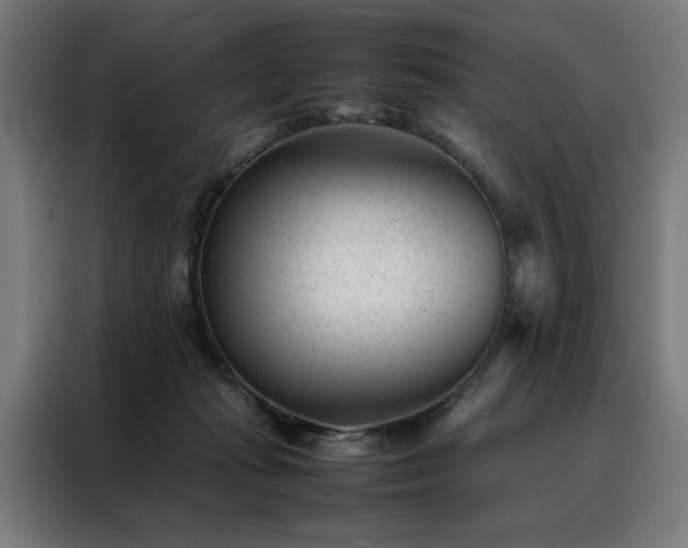 X0000088170269200705221628