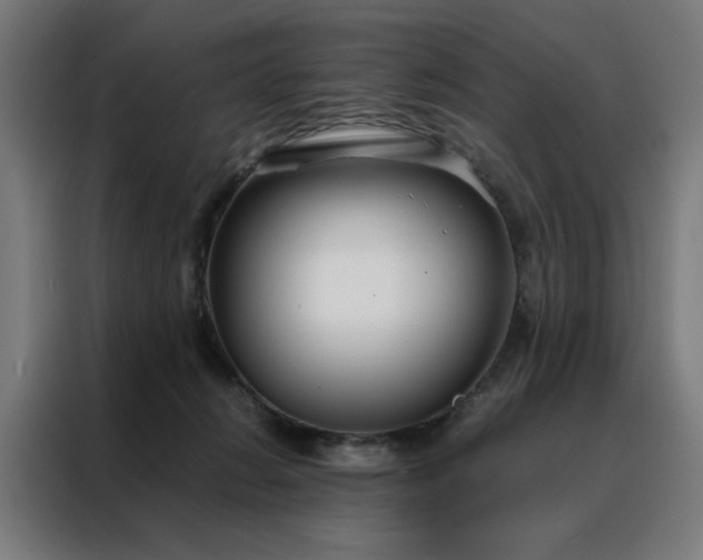 X0000088170270200705221628