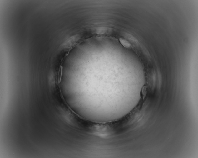 X0000088170272200705221628