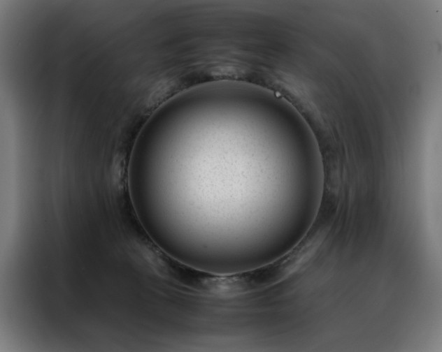 X0000088170273200705221628