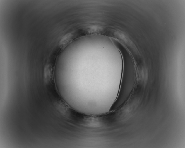 X0000088170276200705221628