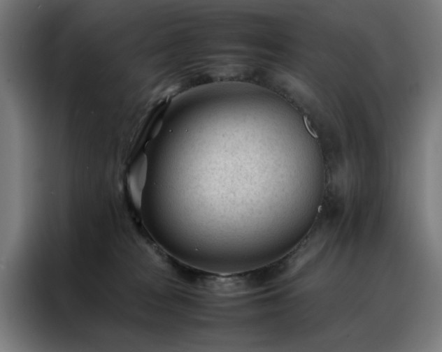 X0000088170277200705221628