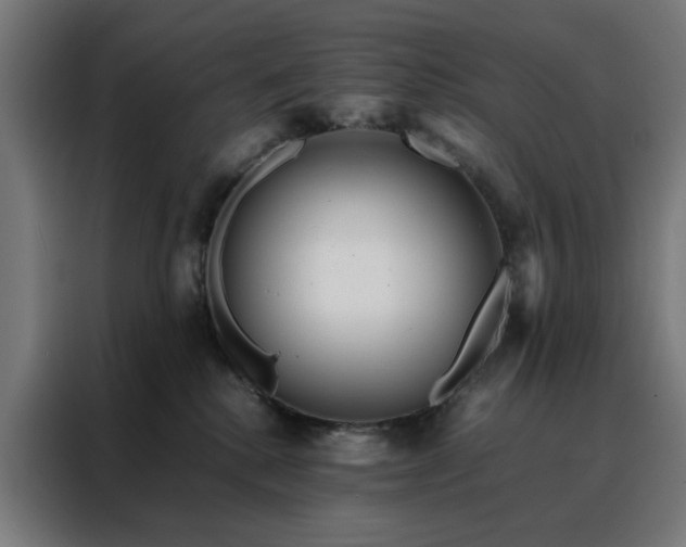 X0000088170280200705221628