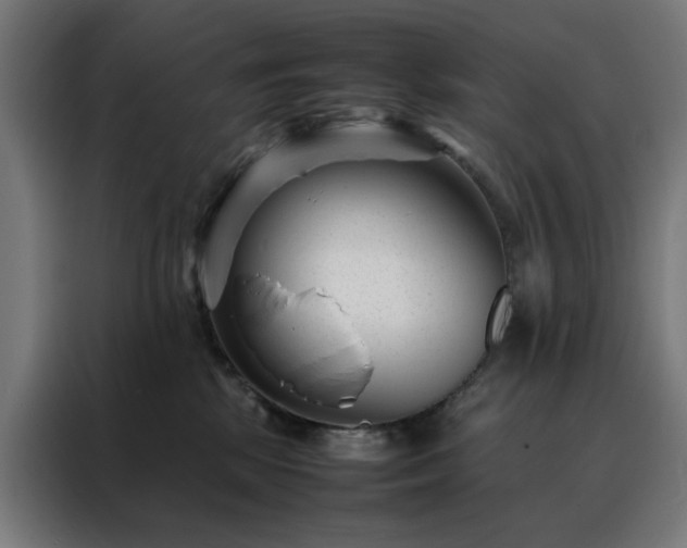 X0000088170281200705221628